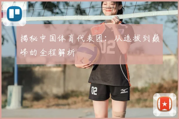 揭秘中国体育代表团:从选拔到巅峰的全程解析