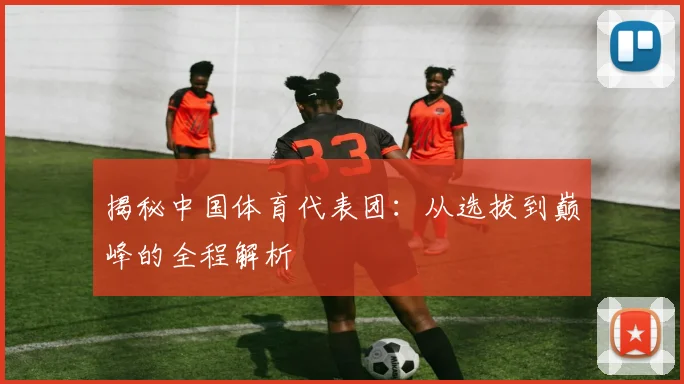 揭秘中国体育代表团：从选拔到巅峰的全程解析